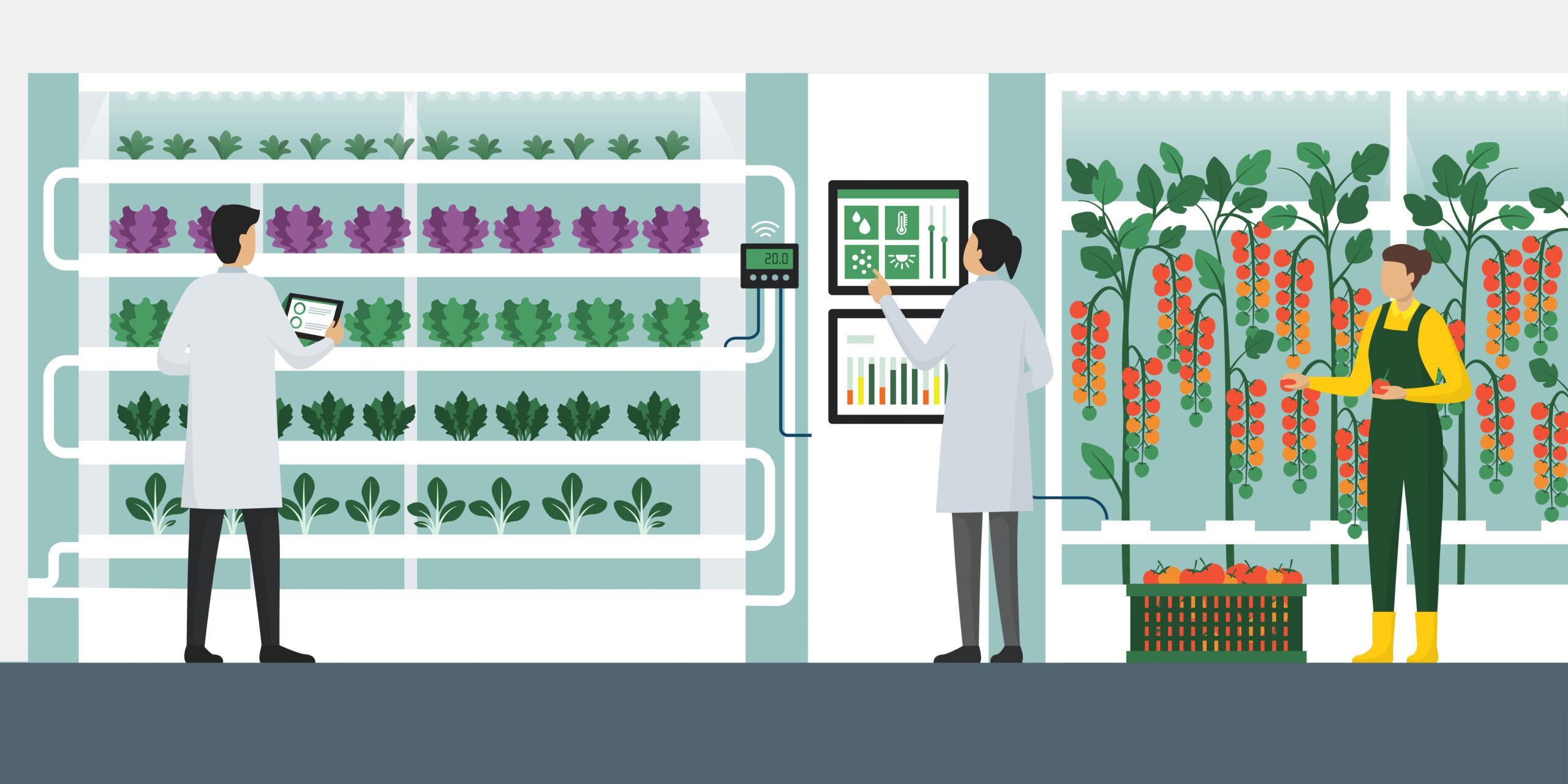 Pursuing Solutions in Canada’s Food Sector
